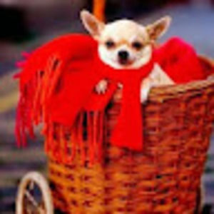 Meet your Posher, Lynda